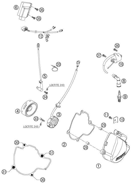 SISTEMA DE ENCENDIDO PARA 250 SX F 2008 EU