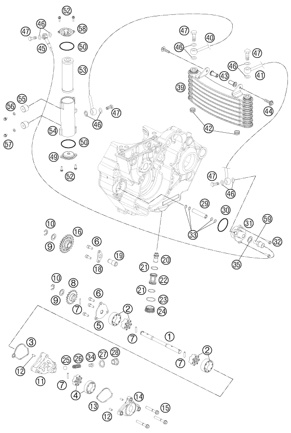 SISTEMA DE LUBRICACION PARA 450 RALLY FACTORY REPLICA 2013 EU